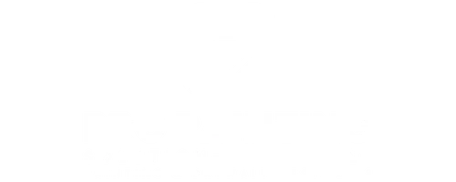 Pro Painting Solution LLC logo